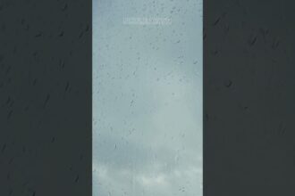 Soothing ASMR Rain Sounds for Relaxation and Focus